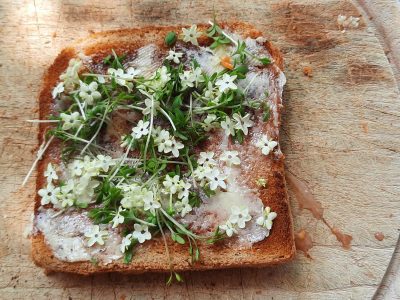 Kräuter Toastbrot